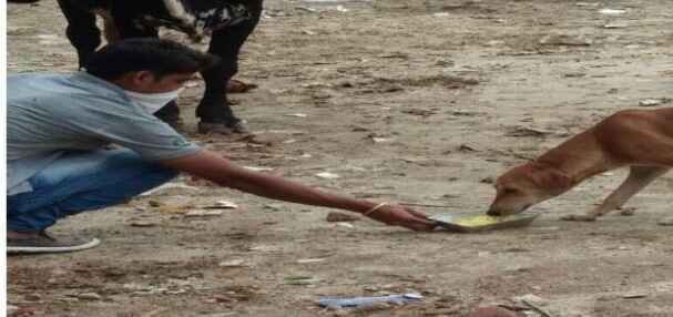 Wellexy Charitable Projects